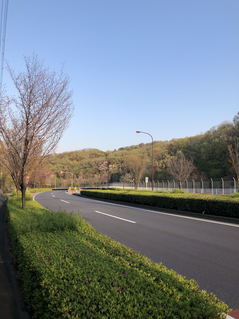 谷保天満宮→多摩川→旧甲州街道の写真9