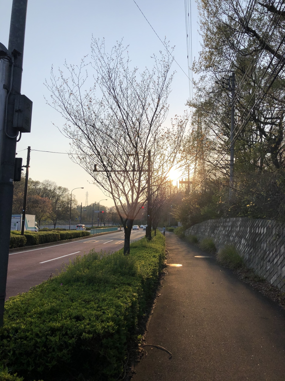 谷保天満宮→多摩川→旧甲州街道の写真10