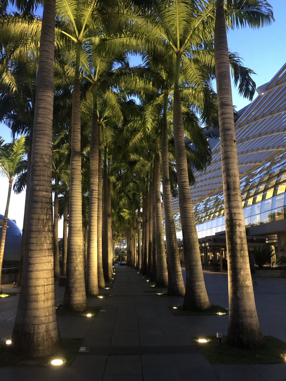 マリナベイからニコルハイウェイを経由してマーライオンパーク方面にの写真3