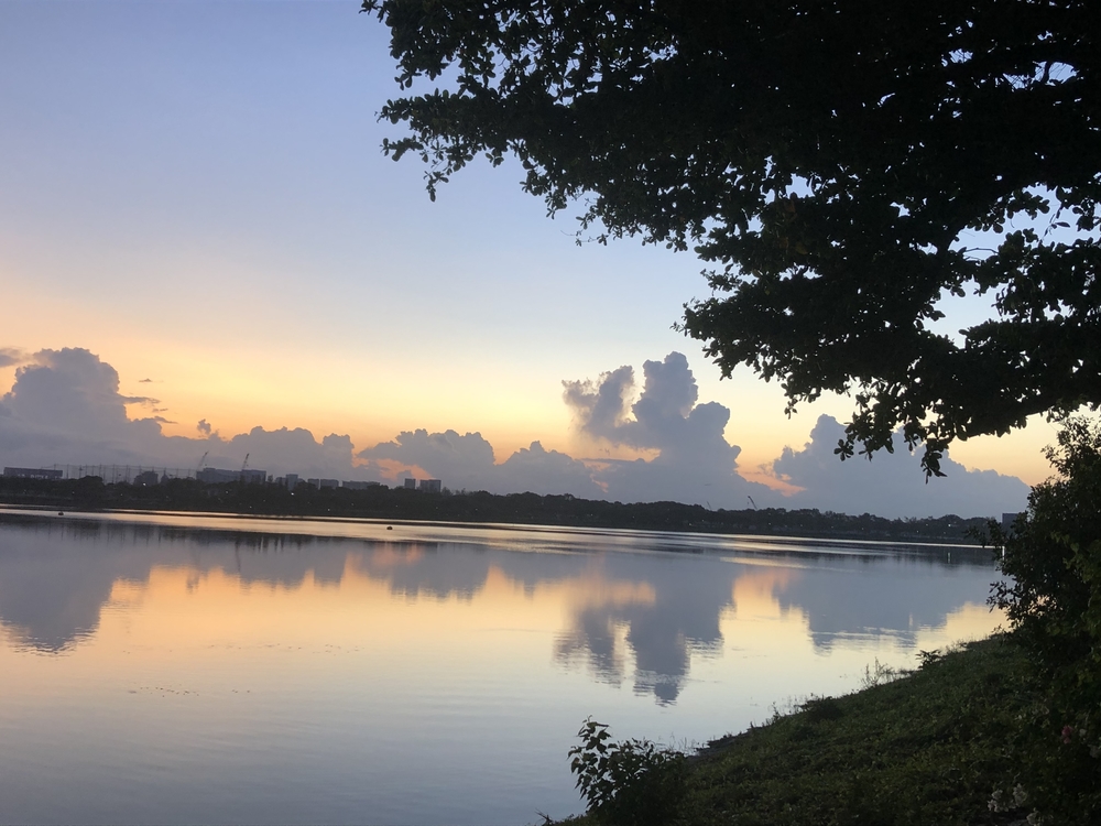 マリナベイからニコルハイウェイを経由してマーライオンパーク方面にの写真6