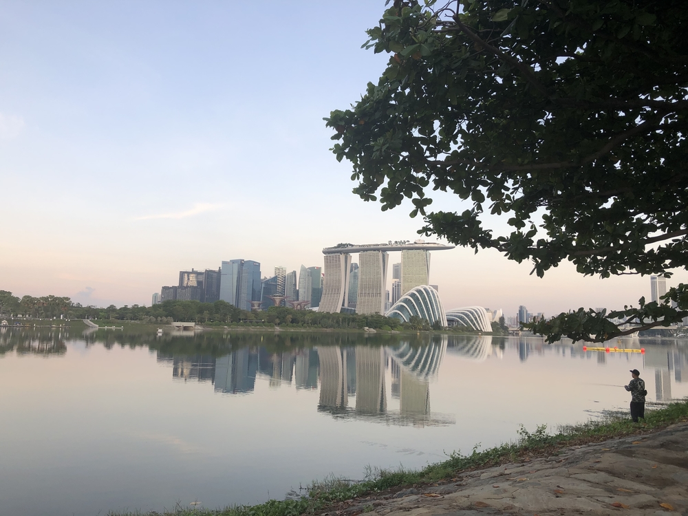 マリナベイからニコルハイウェイを経由してマーライオンパーク方面にの写真11