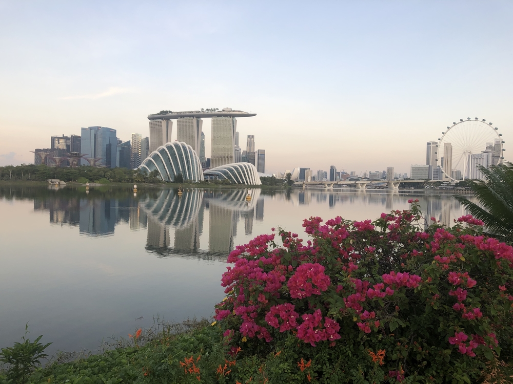 マリナベイからニコルハイウェイを経由してマーライオンパーク方面にの写真12