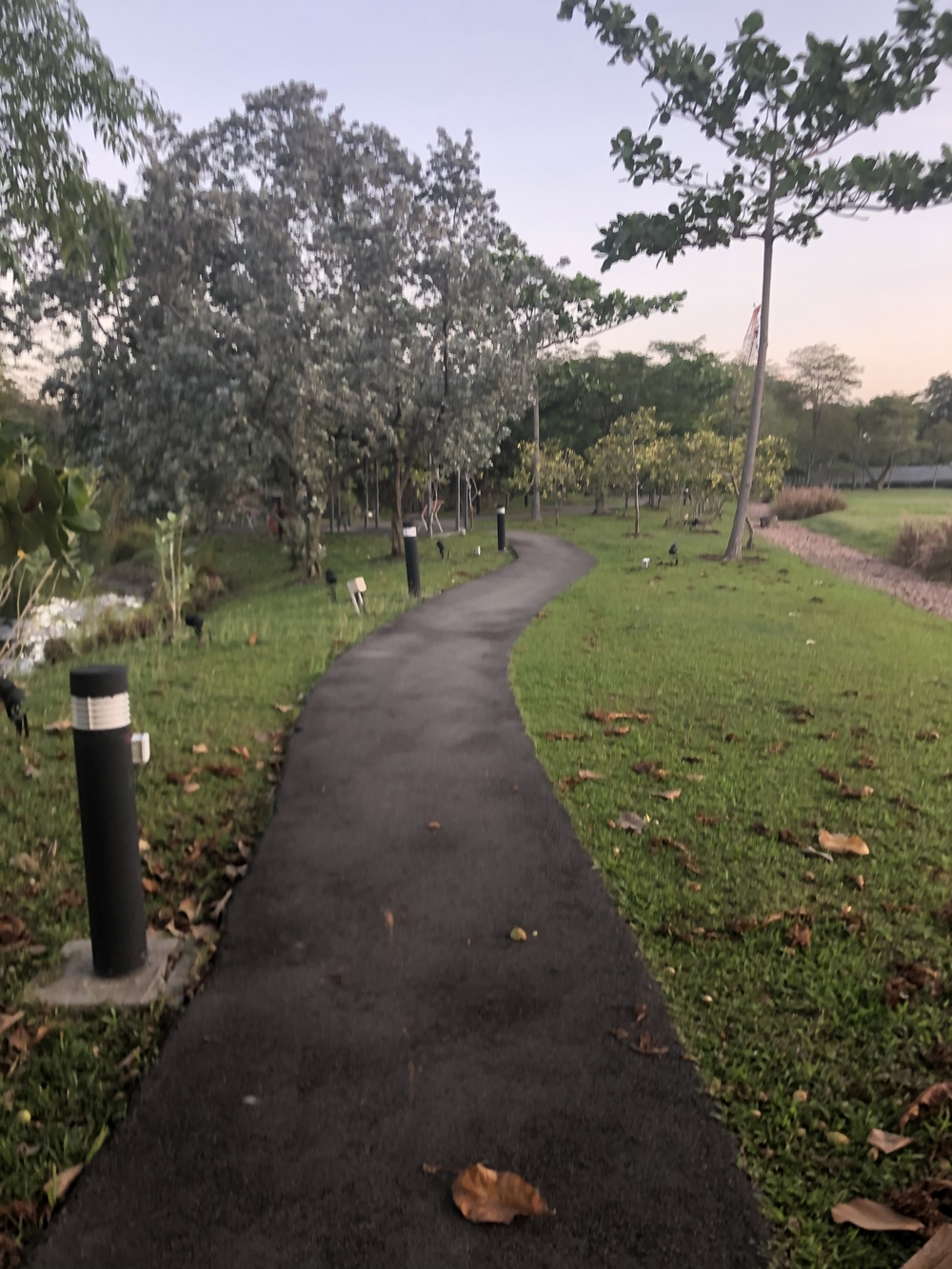 マリナベイからニコルハイウェイを経由してマーライオンパーク方面にの写真13