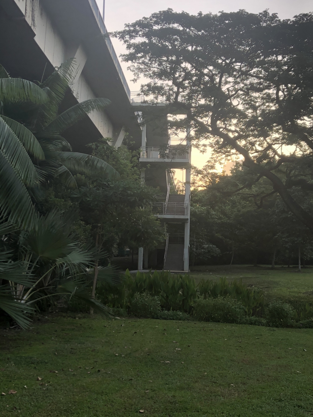 マリナベイからニコルハイウェイを経由してマーライオンパーク方面にの写真14