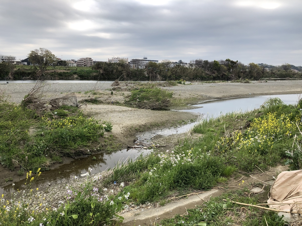 多摩川トレイル30キロぐらいの写真3