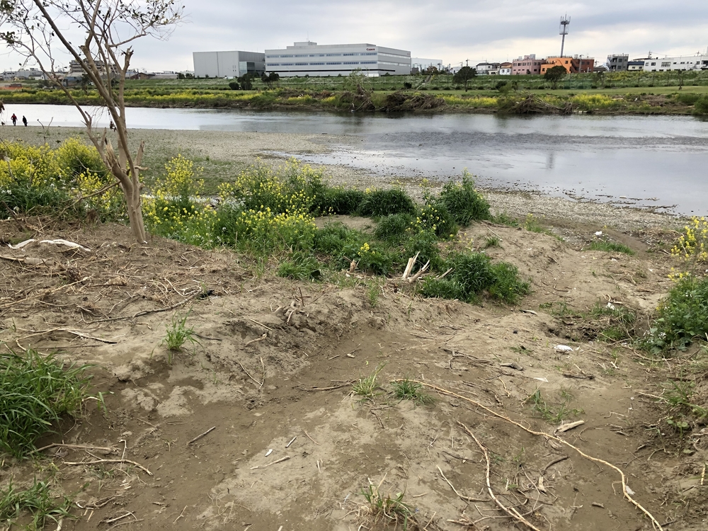 多摩川トレイル30キロぐらいの写真5