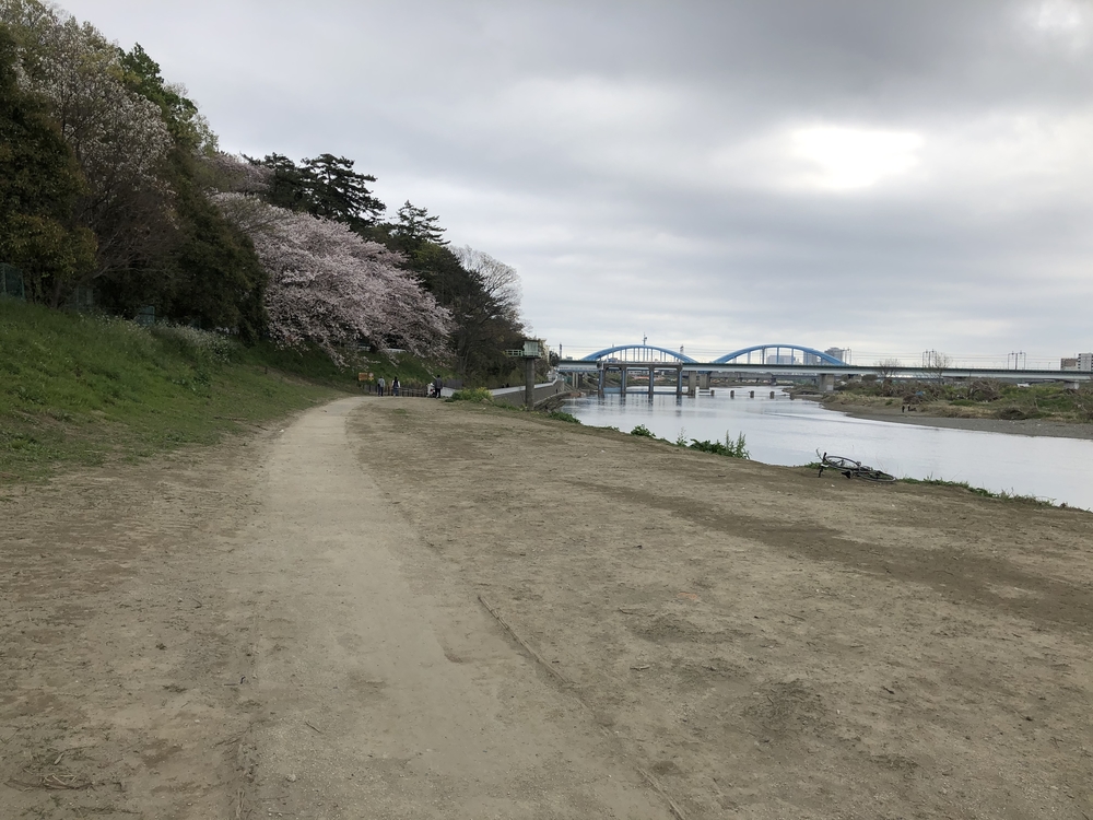 多摩川トレイル30キロぐらいの写真8