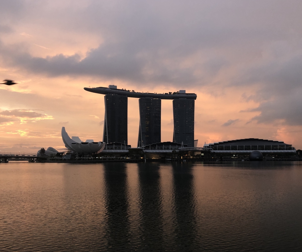 Marina Bay Run (2) Early Morningの写真7