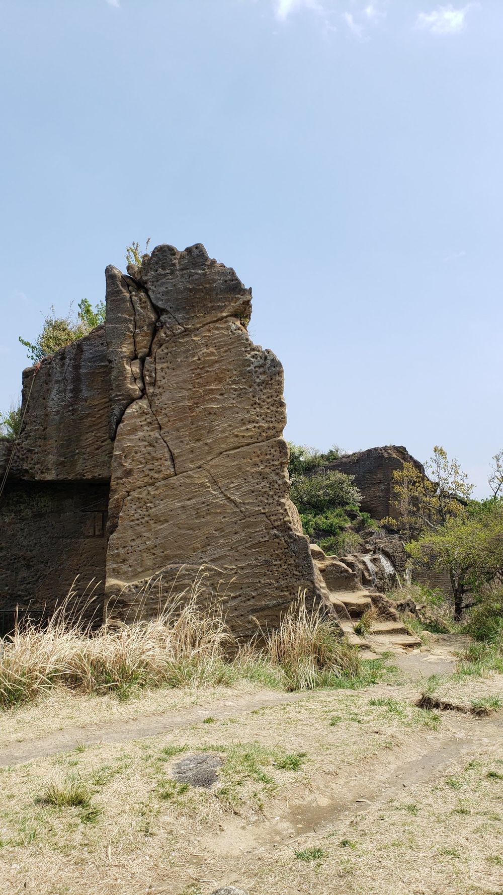 鷹取山・金沢市民の森コースの写真4