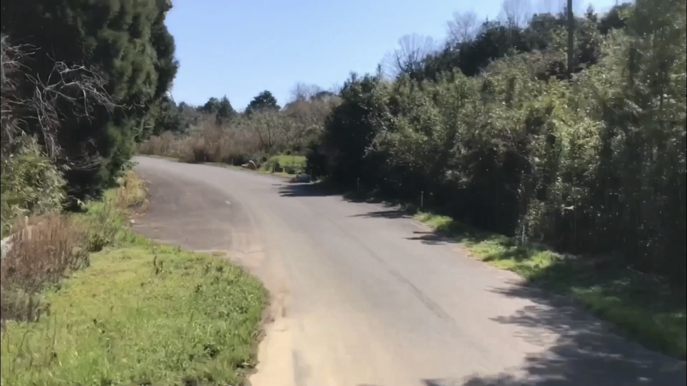 【散策ジョグ】名探偵コナンの里の写真17