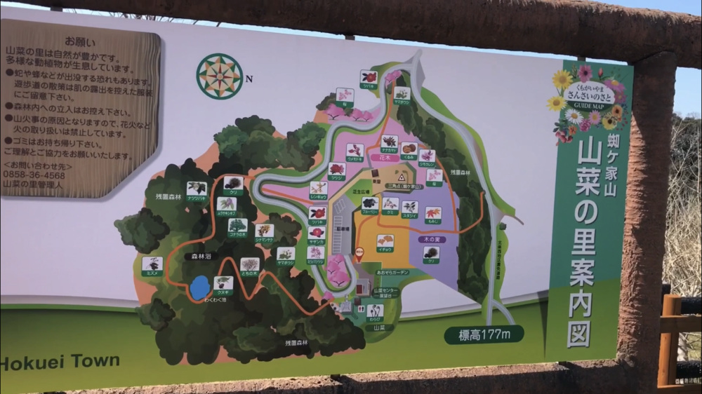 【散策ジョグ】名探偵コナンの里の写真19