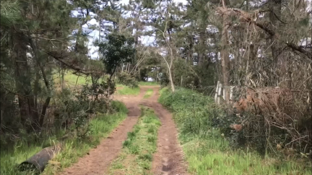 【散策ジョグ】名探偵コナンの里の写真26