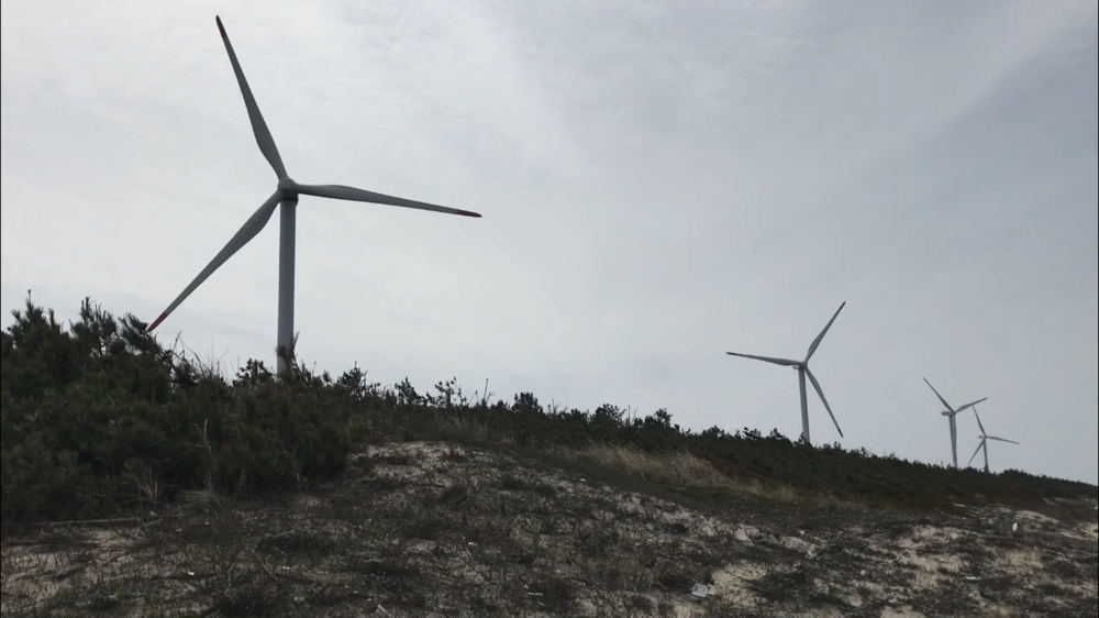 【散策ジョグ】名探偵コナンの里の写真27