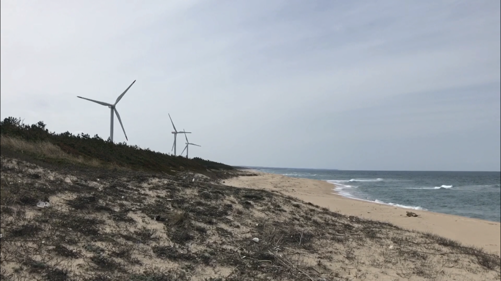 【散策ジョグ】名探偵コナンの里の写真28