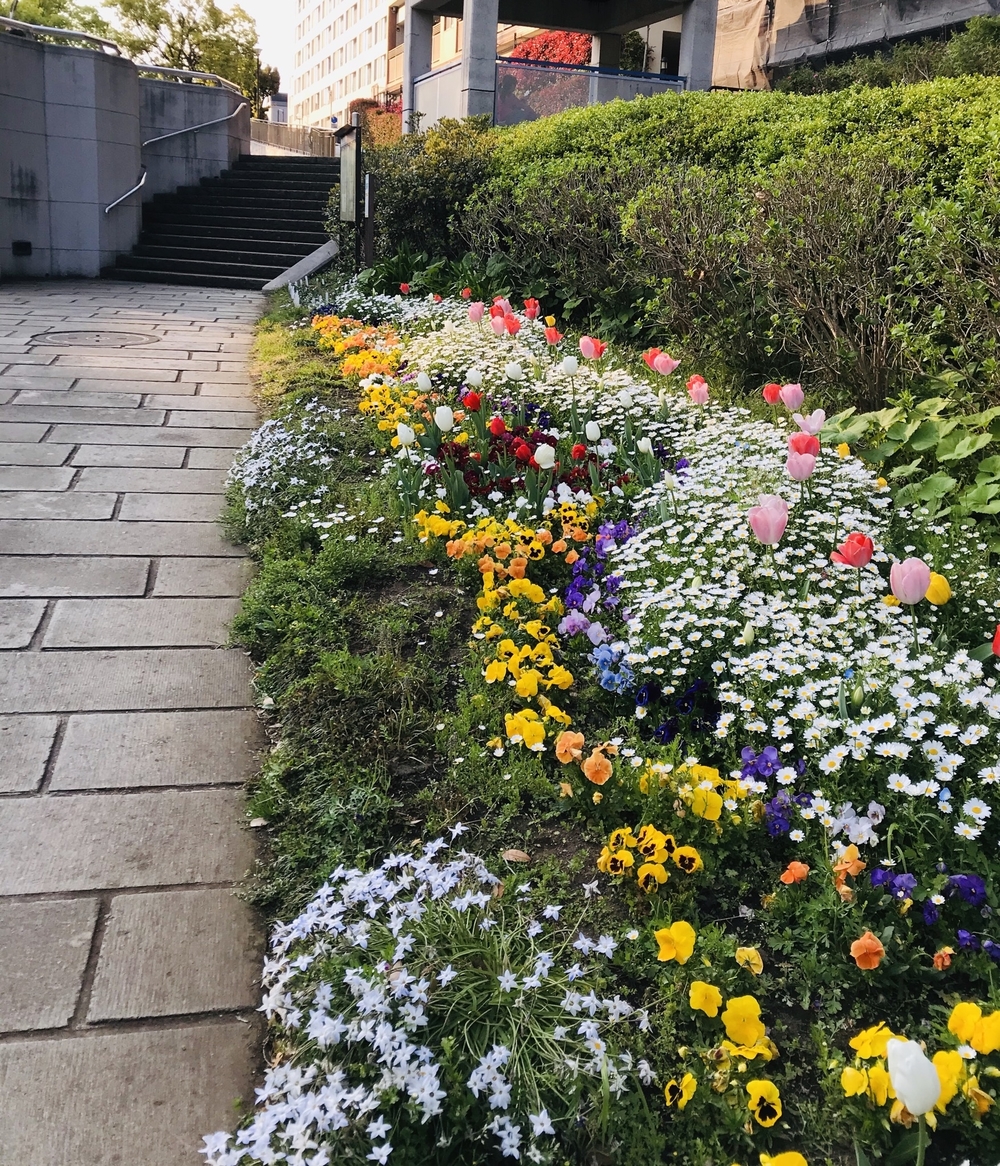 四季折々の景色が楽しめる最高〜なコース♪の写真3