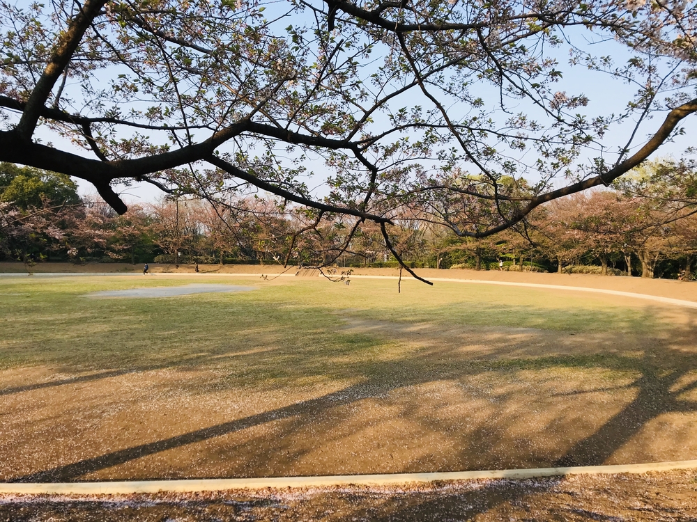 四季折々の景色が楽しめる最高〜なコース♪の写真4