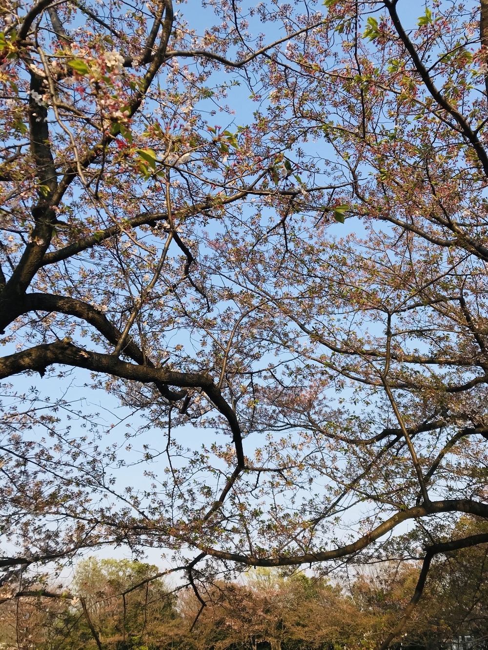 四季折々の景色が楽しめる最高〜なコース♪の写真5