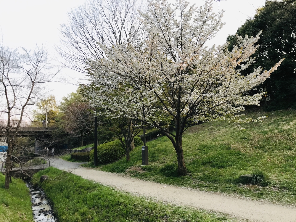 四季折々の景色が楽しめる最高〜なコース♪の写真6