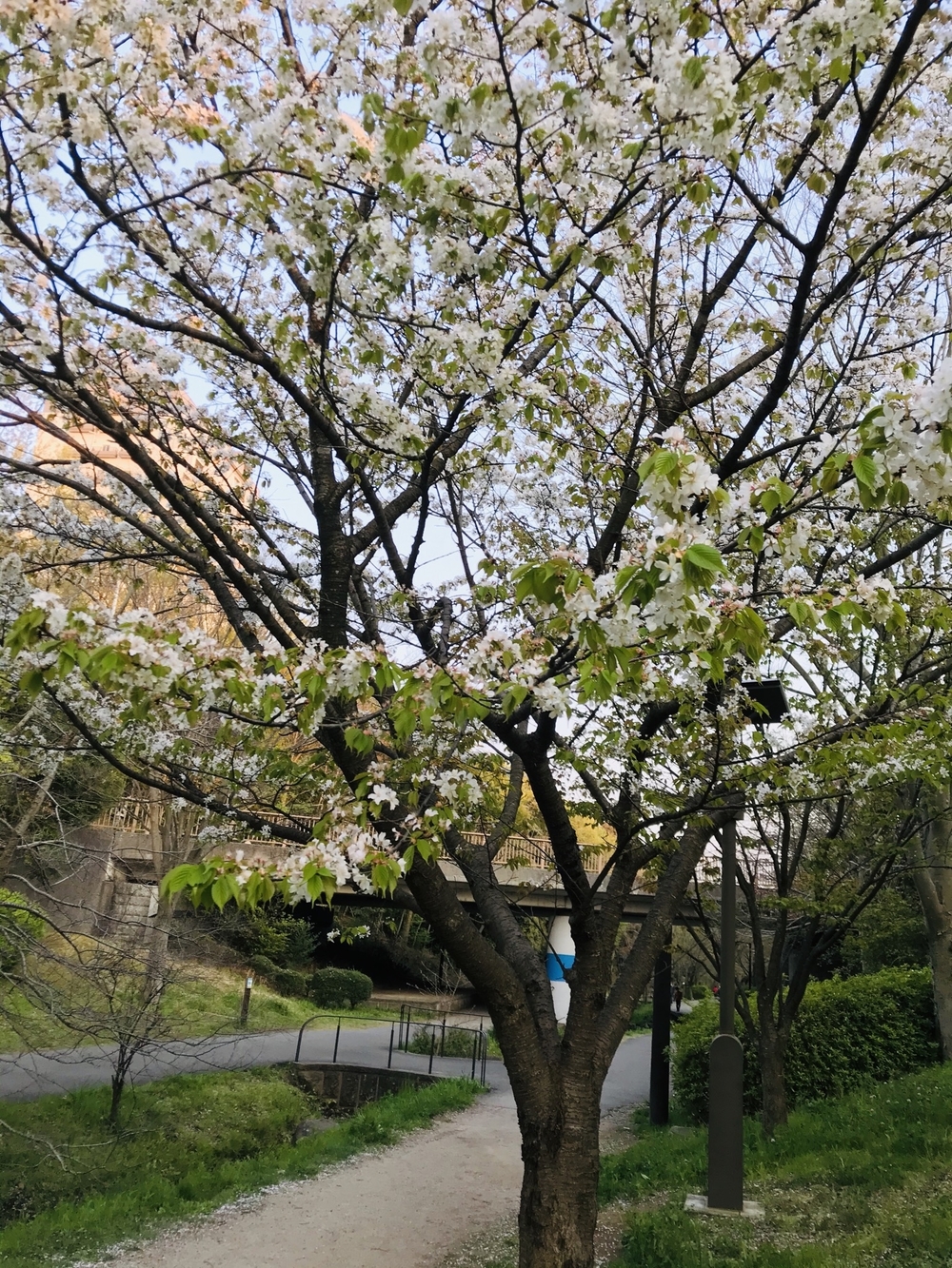 四季折々の景色が楽しめる最高〜なコース♪の写真7