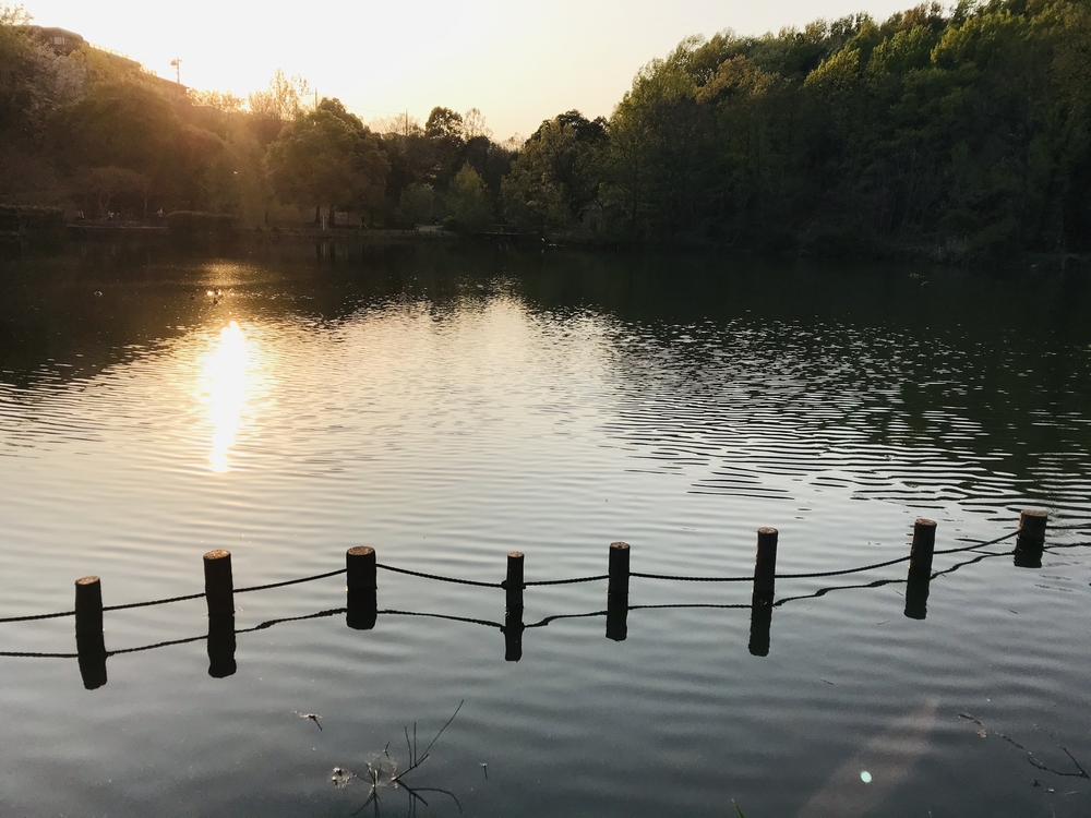 四季折々の景色が楽しめる最高〜なコース♪の写真9