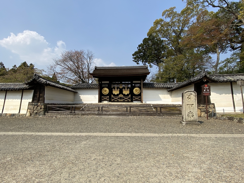 ビギナーおすすめ②の写真3