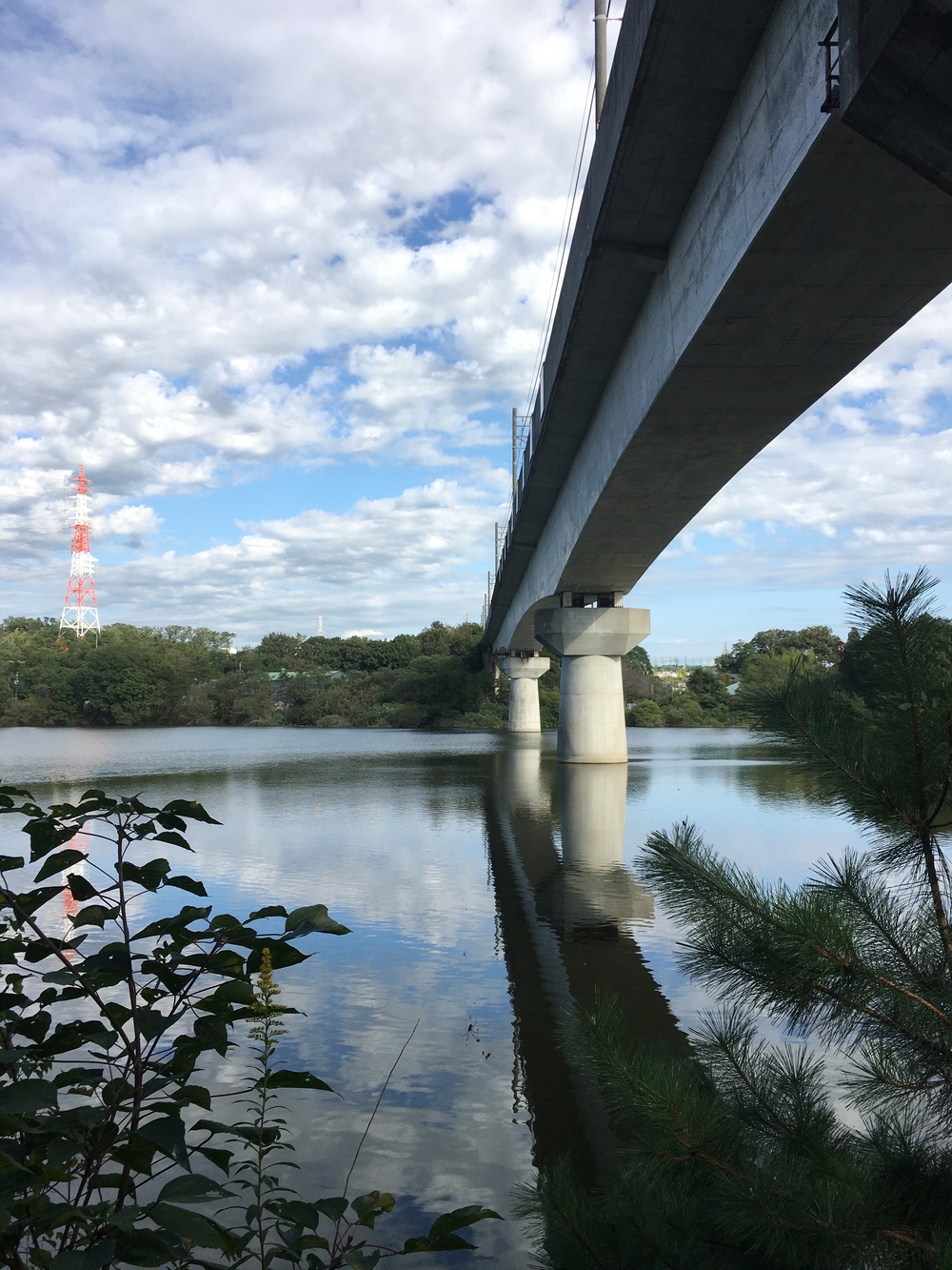 第4回「ナゴラン」愛知池ラン&BBQ　周回コース7.4㎞(愛知牧場向かい)の写真7