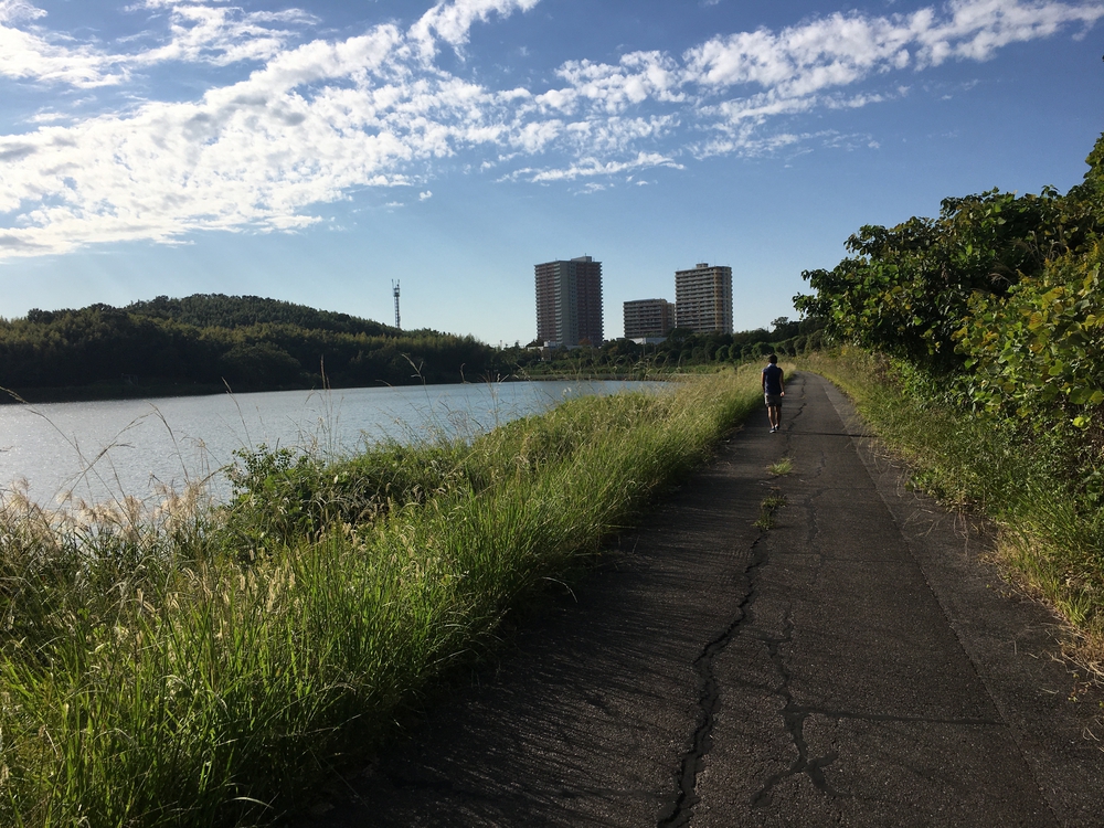 第4回「ナゴラン」愛知池ラン&BBQ　周回コース7.4㎞(愛知牧場向かい)の写真8