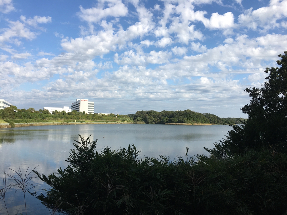 第4回「ナゴラン」愛知池ラン&BBQ　周回コース7.4㎞(愛知牧場向かい)の写真9