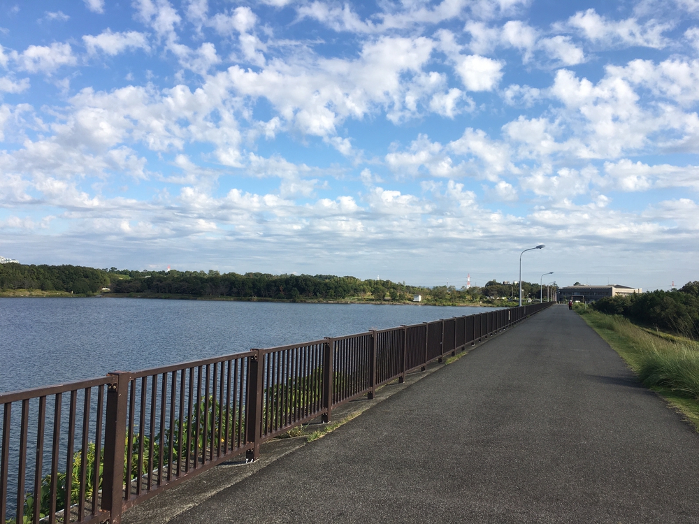 第4回「ナゴラン」愛知池ラン&BBQ　周回コース7.4㎞(愛知牧場向かい)の写真10