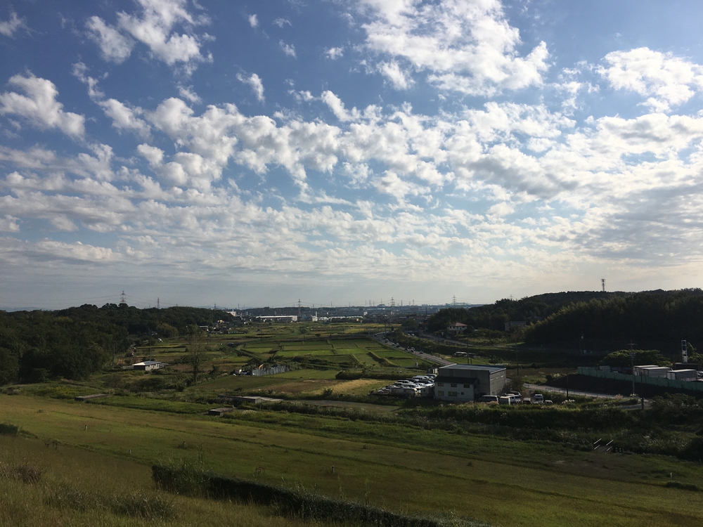 第4回「ナゴラン」愛知池ラン&BBQ　周回コース7.4㎞(愛知牧場向かい)の写真11