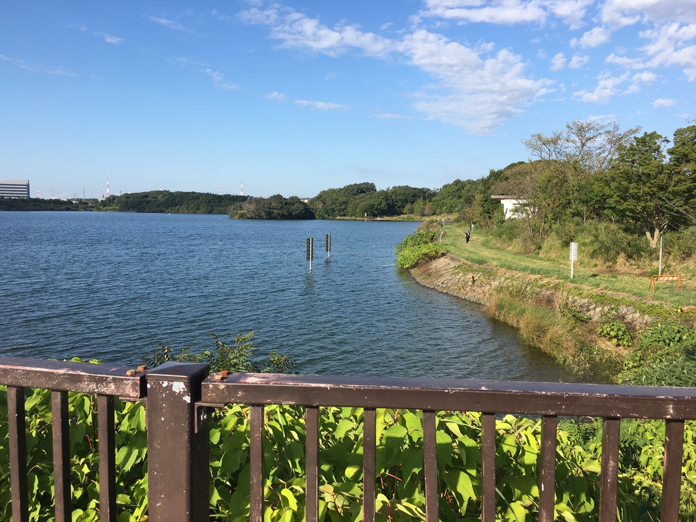 第4回「ナゴラン」愛知池ラン&BBQ　周回コース7.4㎞(愛知牧場向かい)の写真12