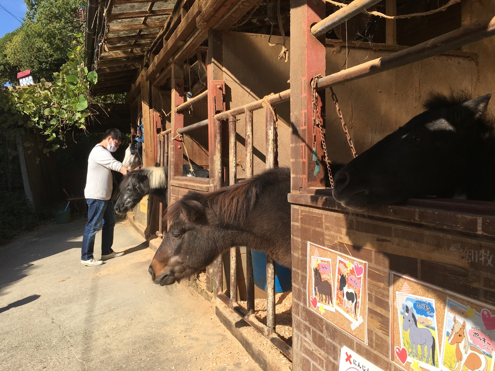 第4回「ナゴラン」愛知池ラン&BBQ　周回コース7.4㎞(愛知牧場向かい)の写真16