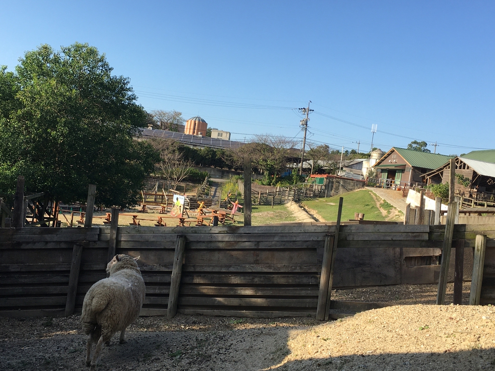 第4回「ナゴラン」愛知池ラン&BBQ　周回コース7.4㎞(愛知牧場向かい)の写真17