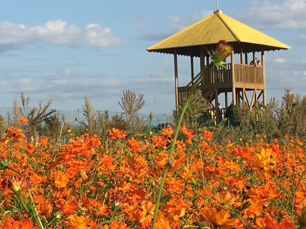 第4回「ナゴラン」愛知池ラン&BBQ　周回コース7.4㎞(愛知牧場向かい)の写真19