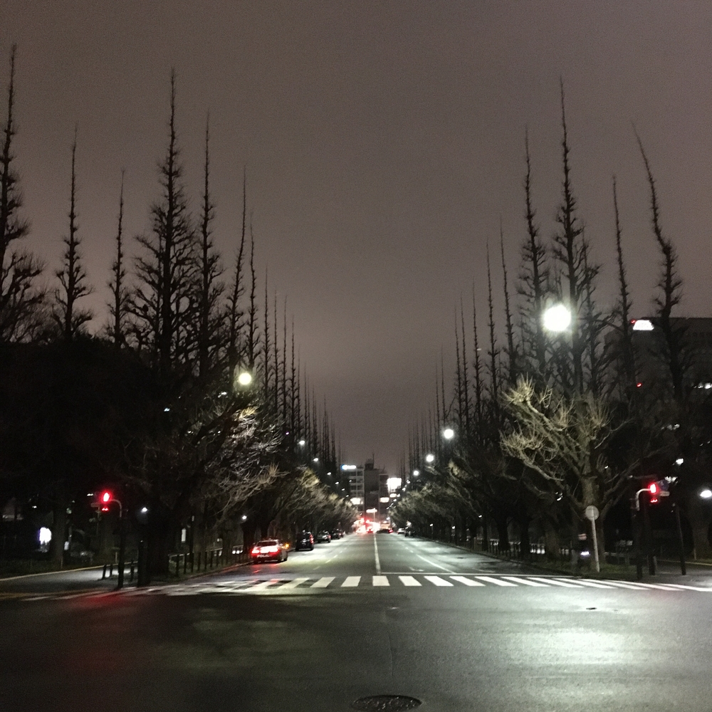 10kmにちょうどいいの写真3