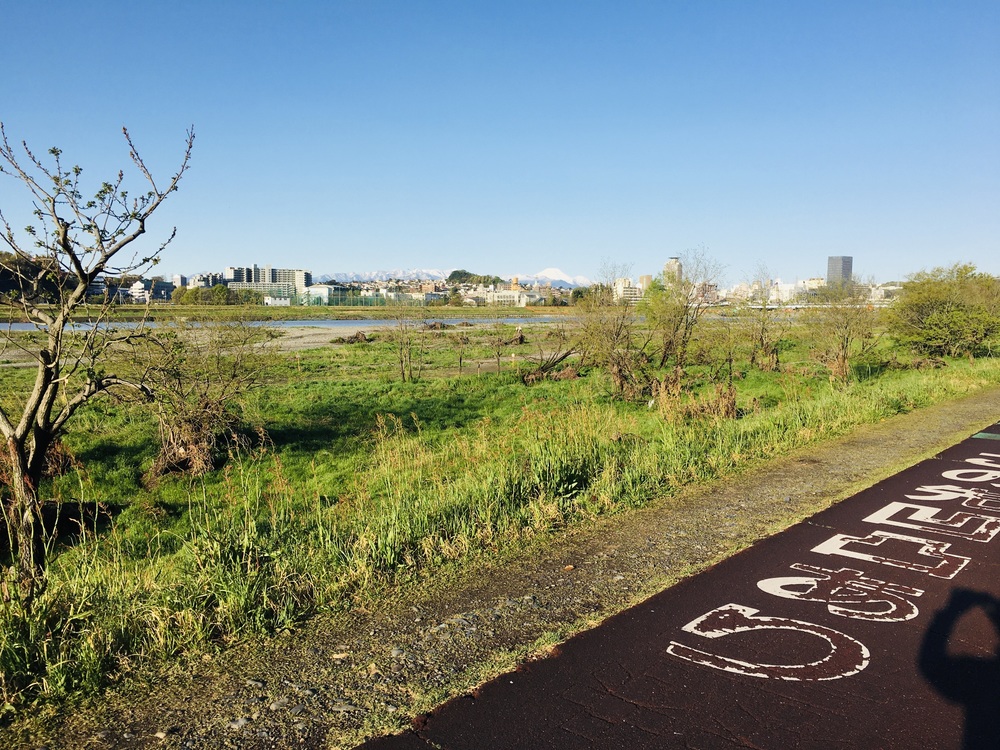 多摩川と３大登り（中大トンネル、耳をすませばの金毘羅宮、桜ヶ丘公園）の周回コースの写真3