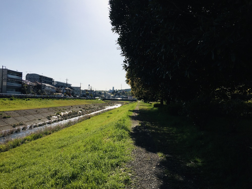 多摩川と３大登り（中大トンネル、耳をすませばの金毘羅宮、桜ヶ丘公園）の周回コースの写真9