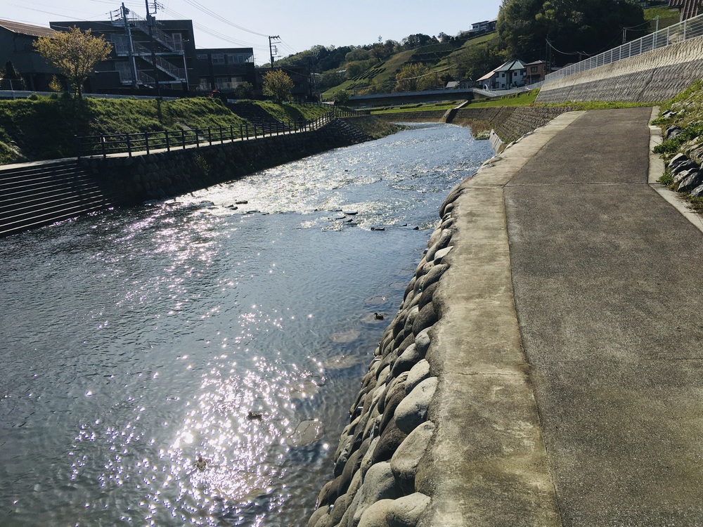 多摩川と３大登り（中大トンネル、耳をすませばの金毘羅宮、桜ヶ丘公園）の周回コースの写真10