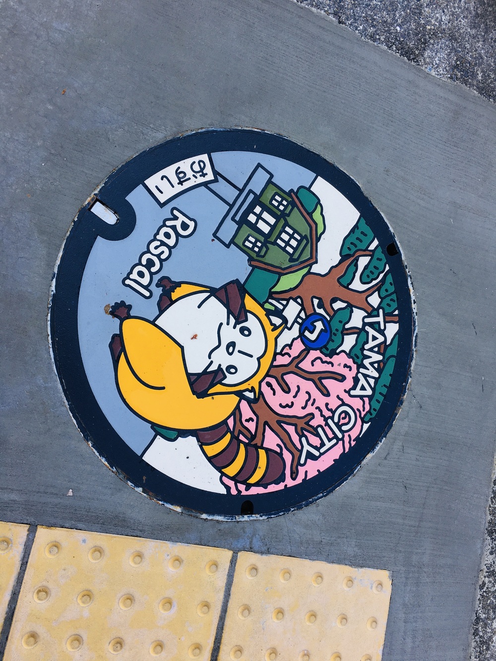 多摩川と３大登り（中大トンネル、耳をすませばの金毘羅宮、桜ヶ丘公園）の周回コースの写真12