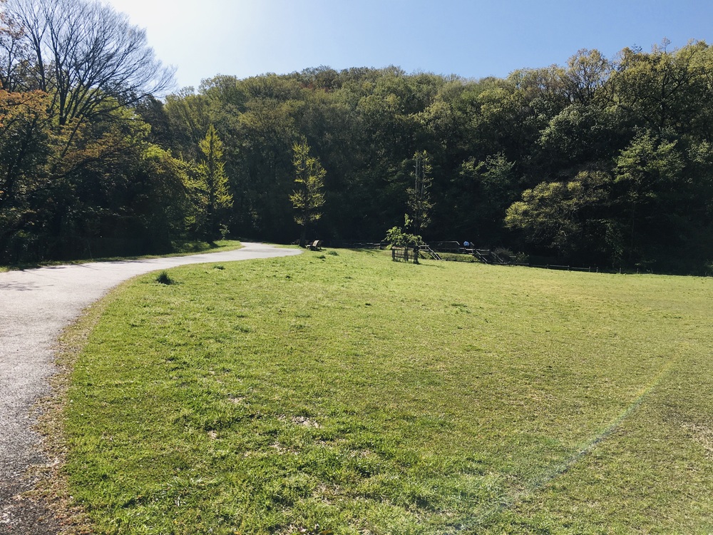 多摩川と３大登り（中大トンネル、耳をすませばの金毘羅宮、桜ヶ丘公園）の周回コースの写真15