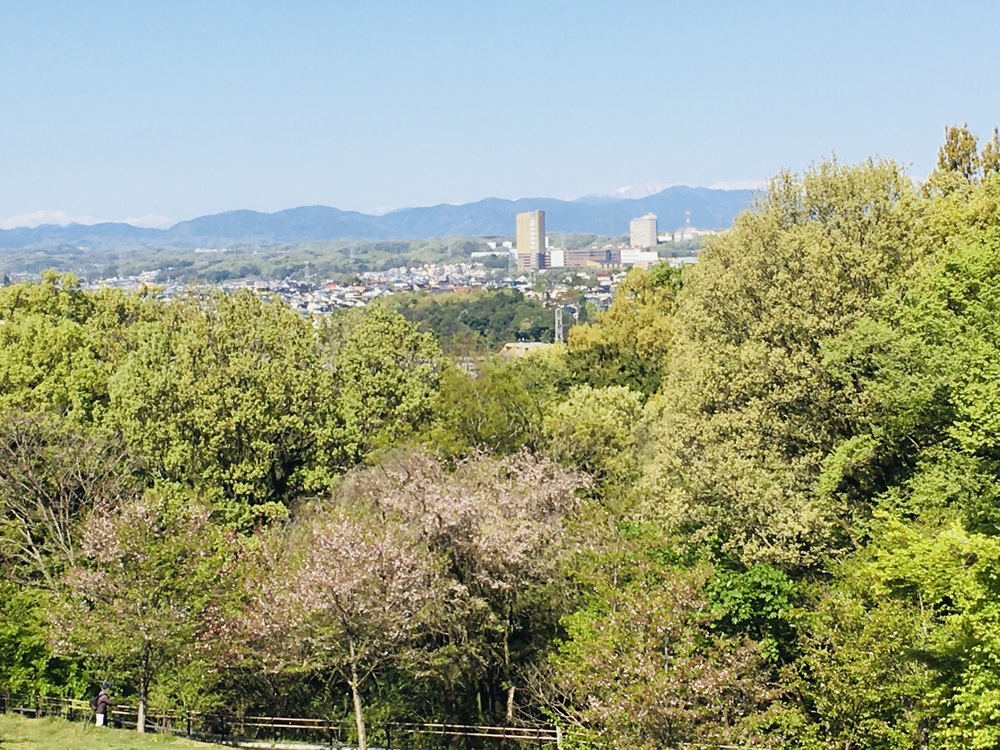 多摩川と３大登り（中大トンネル、耳をすませばの金毘羅宮、桜ヶ丘公園）の周回コースの写真17