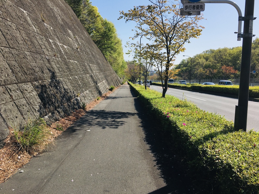 多摩川と３大登り（中大トンネル、耳をすませばの金毘羅宮、桜ヶ丘公園）の周回コースの写真18
