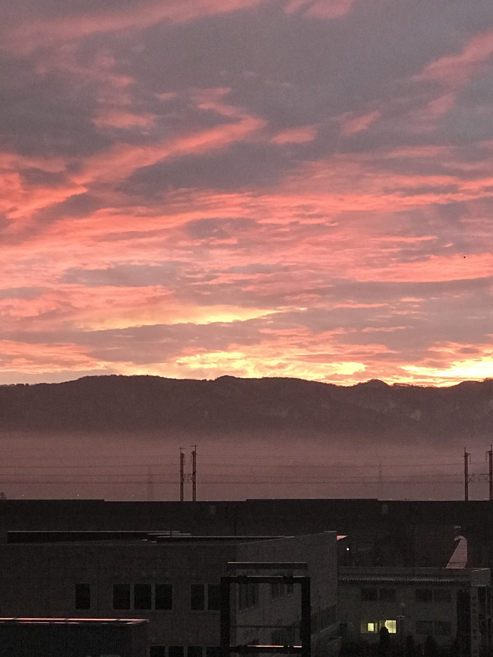 信濃川の河川敷コース。朝ジョグしていると東山から朝陽が眩しく爽やかの写真3