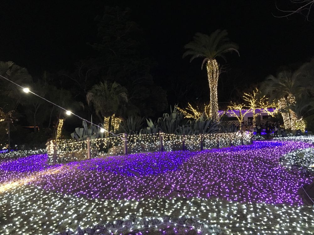 湘南の宝石ラン〜関東三大イルミネーション江ノ島の写真3