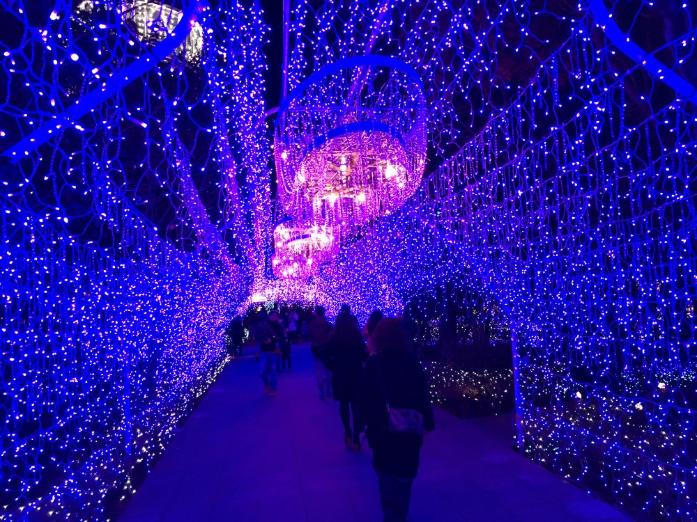 湘南の宝石ラン〜関東三大イルミネーション江ノ島の写真6
