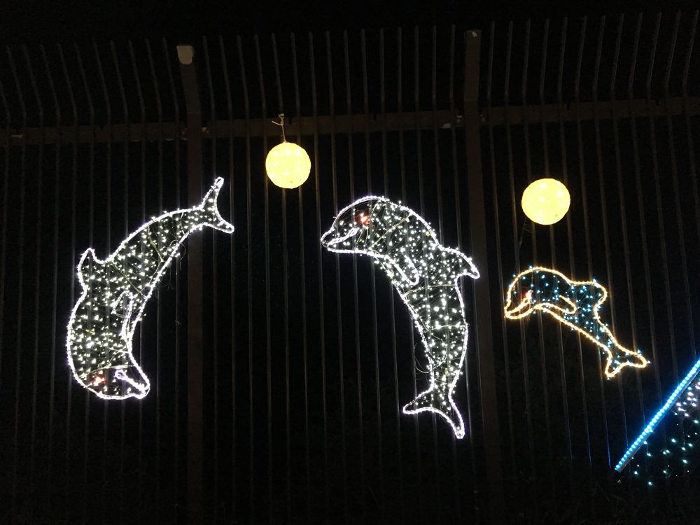 湘南の宝石ラン〜関東三大イルミネーション江ノ島の写真7