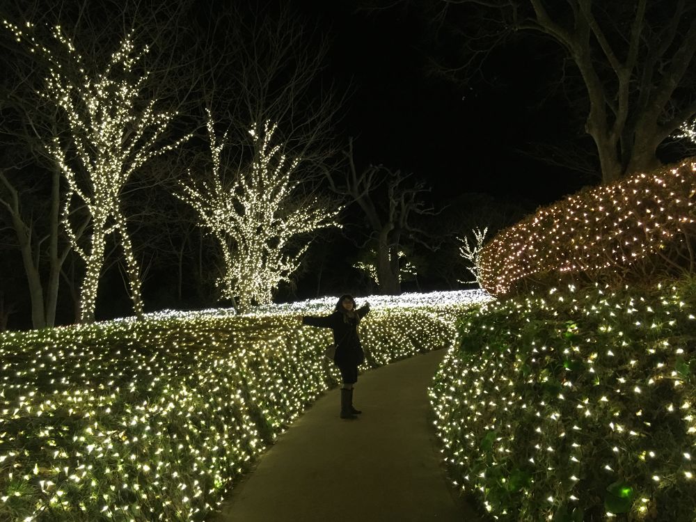 湘南の宝石ラン〜関東三大イルミネーション江ノ島の写真8