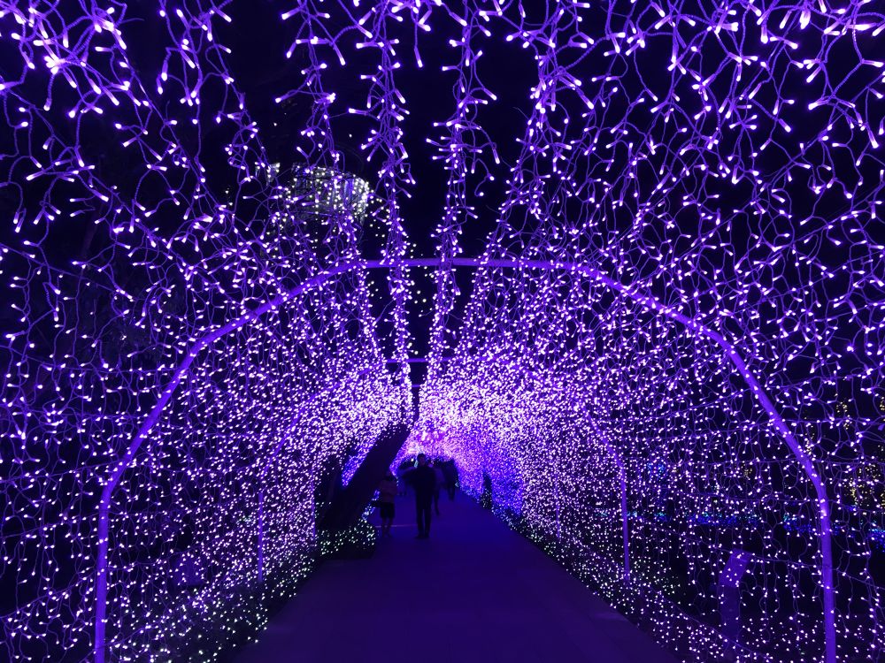 湘南の宝石ラン〜関東三大イルミネーション江ノ島の写真10