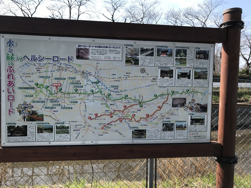 見沼周回ジョグの写真3