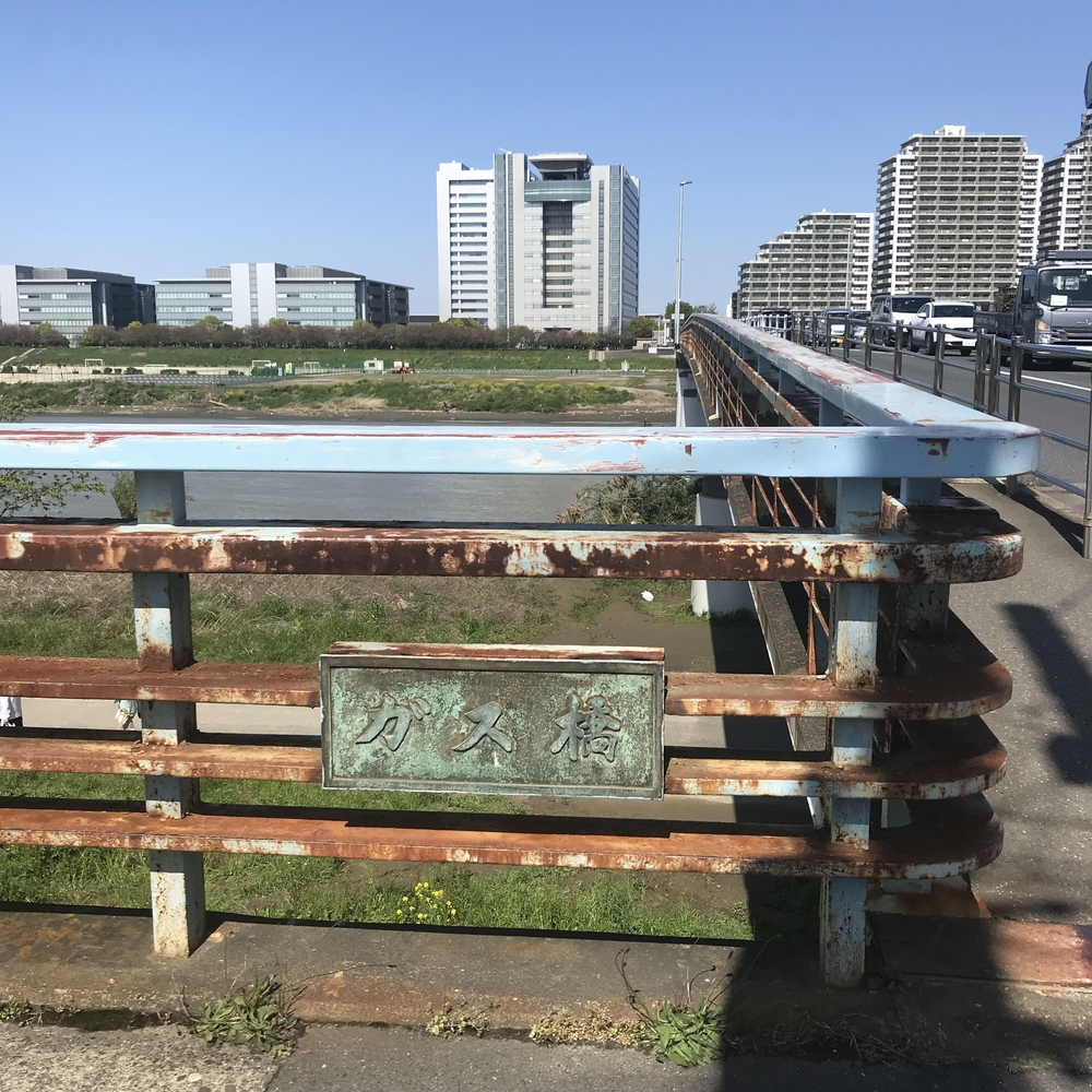 ハートの木にほっこりするジャスト6km！の写真3